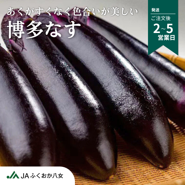 博多なす