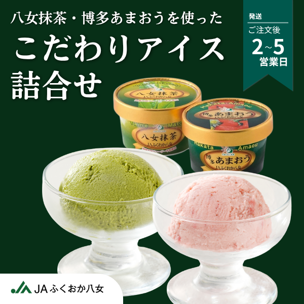 八女特産品で作った こだわりアイスの詰合せ