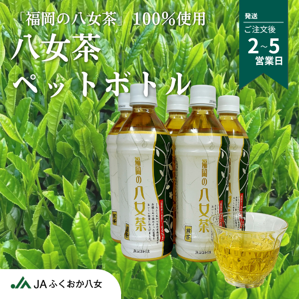 携帯用にもお勧め！八女茶ペットボトルの商品画像 1