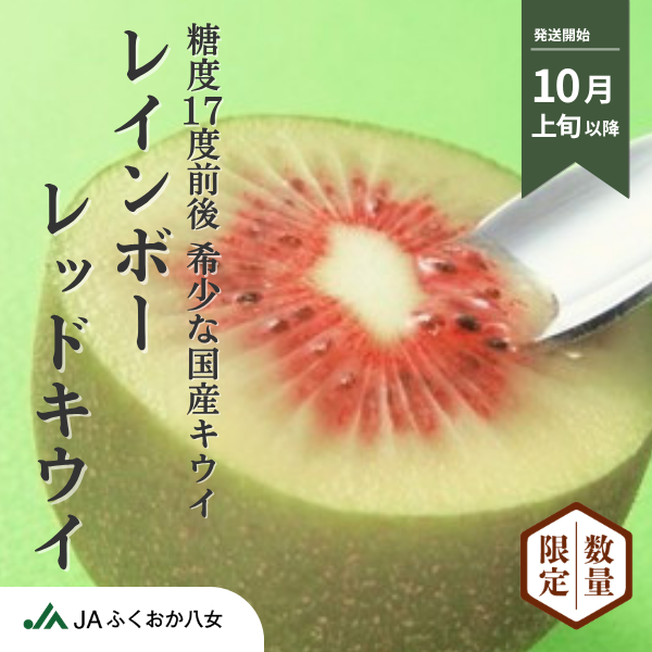 レインボーレッドキウイの商品画像 1