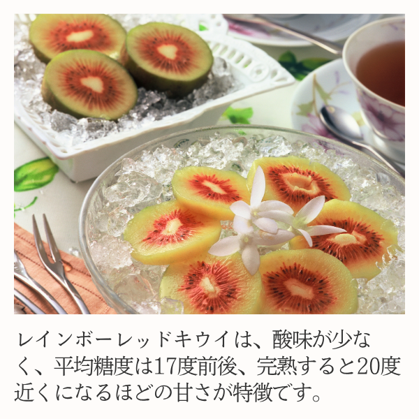 レインボーレッドキウイの商品画像 3