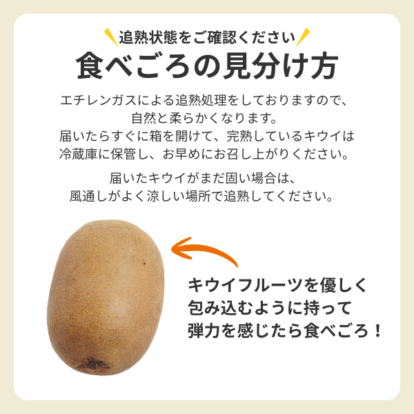 レインボーレッドキウイの商品画像 8