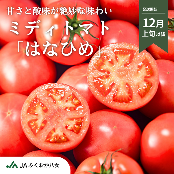 ミディトマト「はなひめ」☆JAふくおか八女のオリジナル品種☆彡