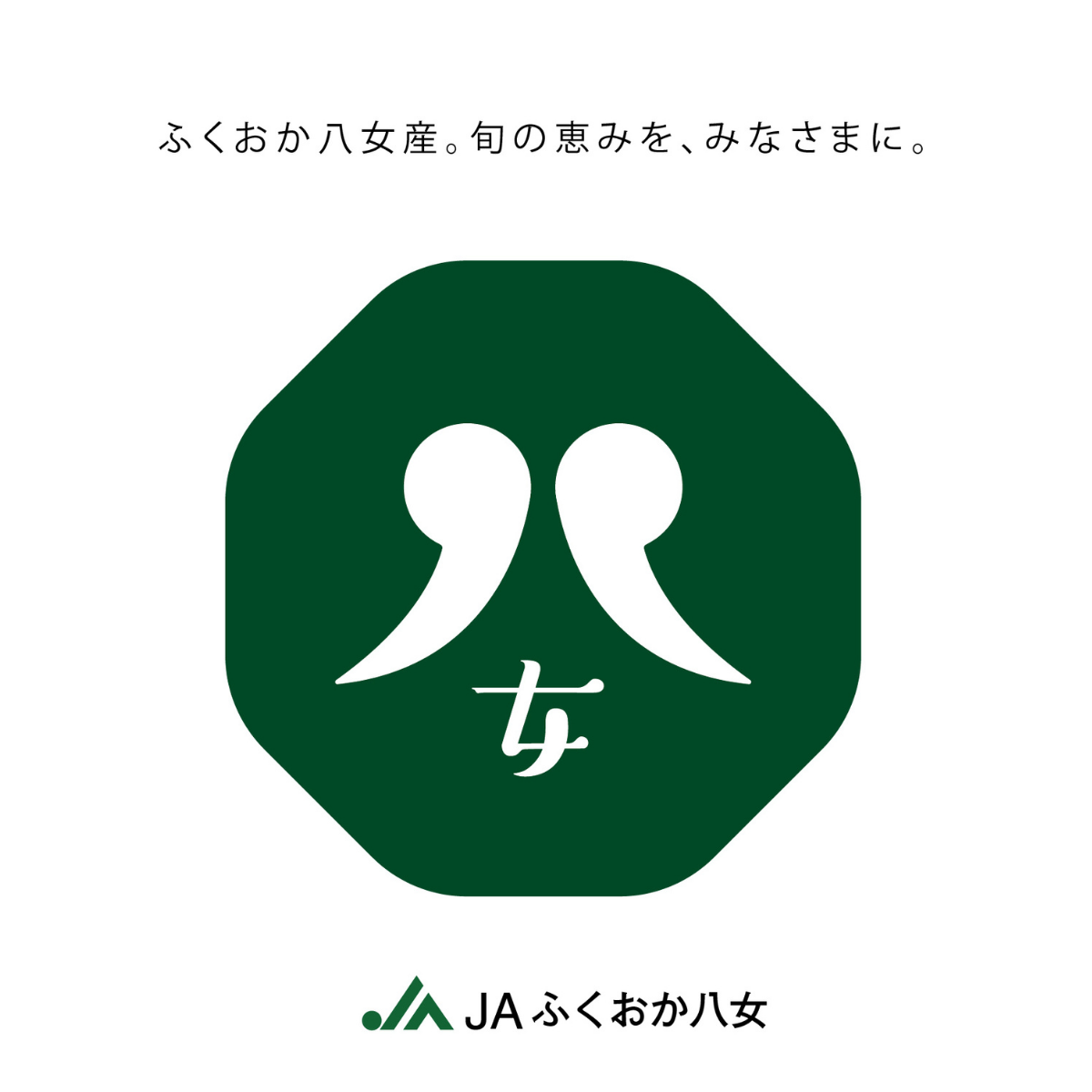 博多あまおう デラックス 270g×2パック［出荷期間：12月上旬～3月中旬］の商品画像 5